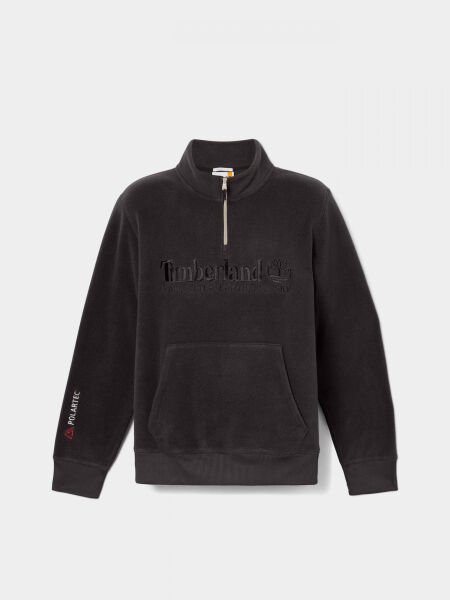 LINEAR LOGO 1/4 ZIP POLARTEC 200 FLEECE Siyah - XL - Erkek