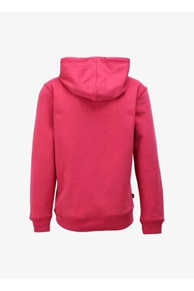 LS 50th Anniversary Est. 1973 Hoodie BB kırmızı - XL