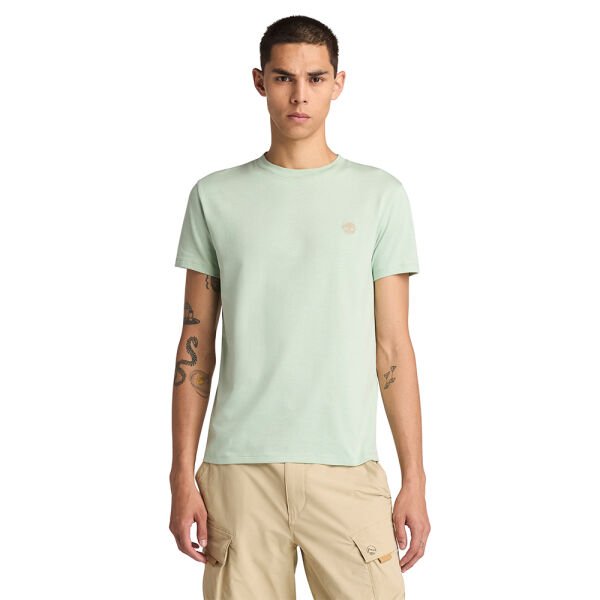 DUNSTAN RIVER Short Sleeve Tee Yeşil - XXL - Erkek