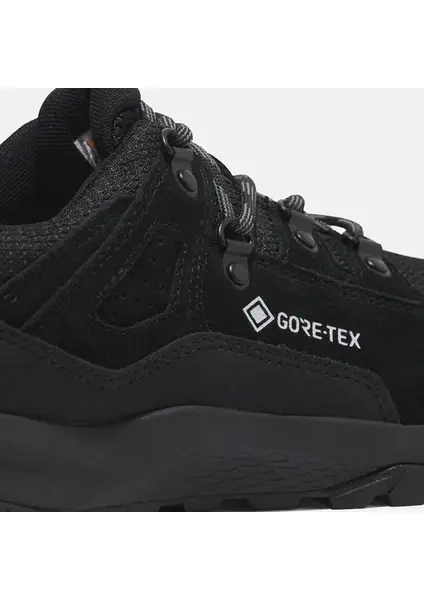 Lincoln Peak LOW LACE UP GTX HIKING BOOT